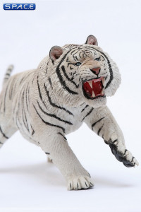 1/6 Scale white attacking Tiger - Panthera Tigris Altaica