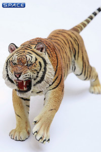 1/6 Scale attacking Tiger - Panthera Tigris Altaica