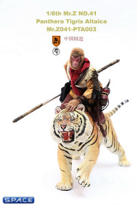 1/6 Scale attacking Tiger - Panthera Tigris Altaica