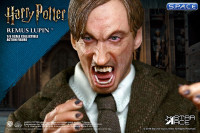1/6 Scale Remus Lupin Deluxe Version (Harry Potter)