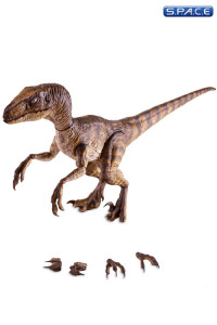 1/6 Scale Velociraptor (Jurassic Park)