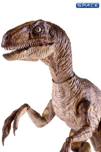 1/6 Scale Velociraptor (Jurassic Park)