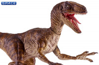 1/6 Scale Velociraptor (Jurassic Park)