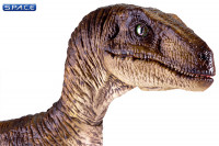 1/6 Scale Velociraptor (Jurassic Park)