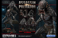 1/4 Scale Assassin Predator Premium Masterline Statue (The Predator)