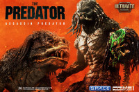 1/4 Scale Assassin Predator & Predator Hound Ultimate Version Premium Masterline Statues (The Predator)