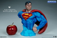 Superman Bust (DC Comics)