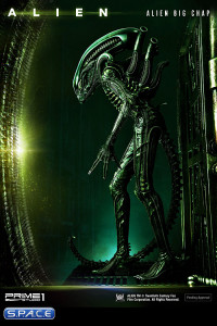 Alien Big Chap 3D Wall Art (Alien)