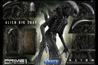 Alien Big Chap 3D Wall Art (Alien)