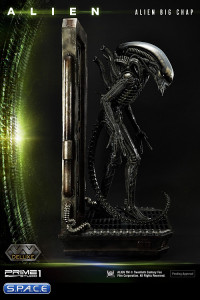 Alien Big Chap Deluxe Version 3D Wall Art (Alien)
