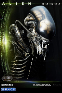 Alien Big Chap Deluxe Version 3D Wall Art (Alien)