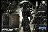 Alien Big Chap Museum Art 3D Wall Art (Alien)