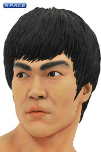 Bruce Lee Legends in 3D Bust (Bruce Lee)