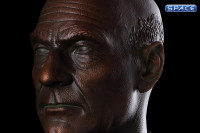 Captain Jean-Luc Picard Bronze Bust (Star Trek)