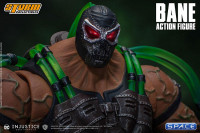 1/12 Scale Bane (Injustice: Gods Among Us)