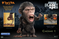Caesar Deluxe Deformed Real Series Vinyl Statue (Rise of the Planet of the Apes)