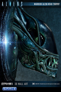 Warrior Alien Head Trophy 3D Wall Art (Aliens)