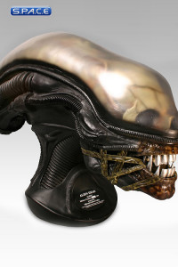 1:1 Alien Head Life-Size Replica (Alien)