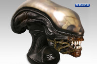 1:1 Alien Head Life-Size Replica (Alien)