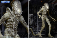3er Komplettsatz: Alien 40th Anniversary Serie 1 (Alien)