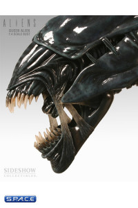 1/4 Scale Alien Queen Bust (Aliens)