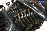 1/4 Scale Alien Queen Bust (Aliens)