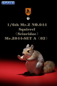 1/6 Scale Squirrel Set A