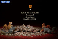 1/6 Scale Squirrel Set A