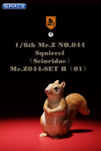 1/6 Scale Squirrel Set B