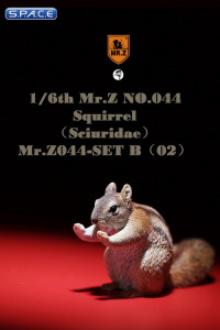 1/6 Scale Squirrel Set B