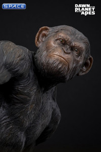 Ape not Kill Ape HQS+ Statue (Dawn of the Planet of the Apes)