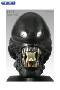 1/4 Scale Gigers Alien Head Replica (Alien)