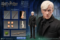 1/6 Scale Draco Malfoy Teenage Suit Version (Harry Potter)