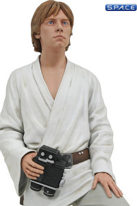 Luke Dreamer Premier Collection Statue (Star Wars)