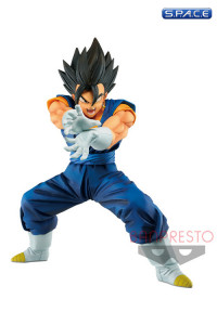 Vegito PVC Statue - Final Kamehameha Version 6 (Dragon Ball Super)