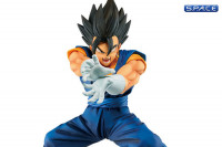 Vegito PVC Statue - Final Kamehameha Version 6 (Dragon Ball Super)