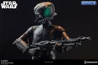 1/6 Scale 4-LOM Sideshow Exclusive (Star Wars)