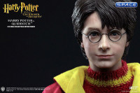 1/6 Scale Harry Potter Quidditch Version 2.0 (Harry Potter and the Chamber of Secrets)