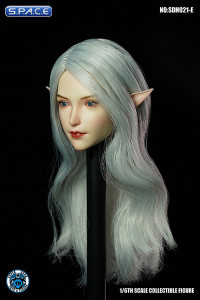 1/6 Scale Valaina Head Sculpt (long white hair)