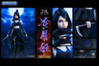 1/6 Scale Cold Moon Ninja Character Set