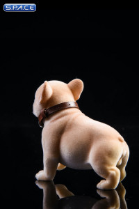 1/6 Scale French Bulldog Puppy (sand color)