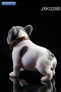 1/6 Scale French Bulldog Puppy (black and white)