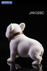 1/6 Scale French Bulldog Puppy (white)