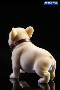 1/6 Scale French Bulldog Puppy (beige)