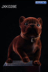 1/6 Scale French Bulldog Puppy (brown)