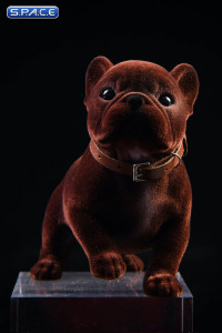 1/6 Scale French Bulldog Puppy (brown)