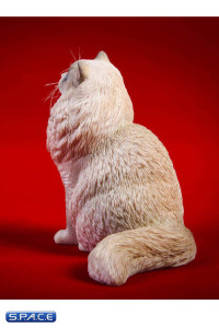 1/6 Scale sitting Ragdoll (blue bicolor)