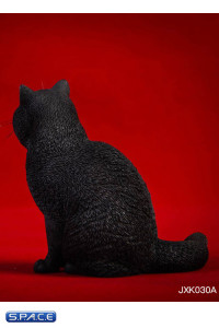 1/6 Scale sitting British Shorthair Cat (black)