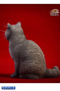 1/6 Scale sitting British Shorthair Cat (blue)