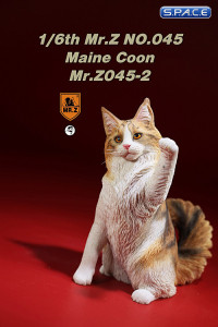 1/6 Scale Maine Coon (red smoke white)